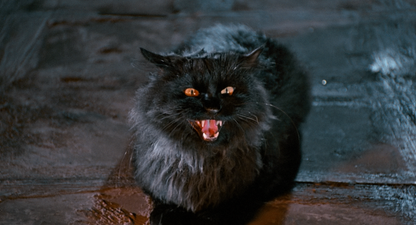 THE CAT [BLURAY]