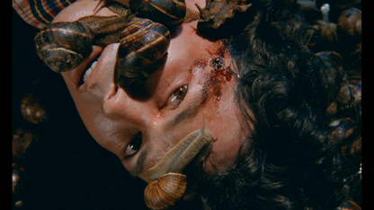 UN ESCARGOT DANS LA TÊTE [BLURAY]